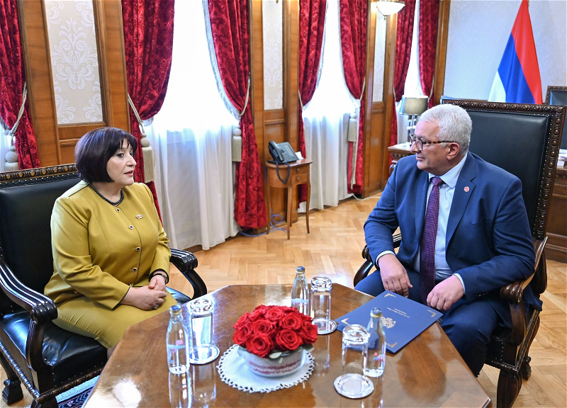 Обсуждены связи между парламентами Азербайджана и Монтенегро - ФОТО